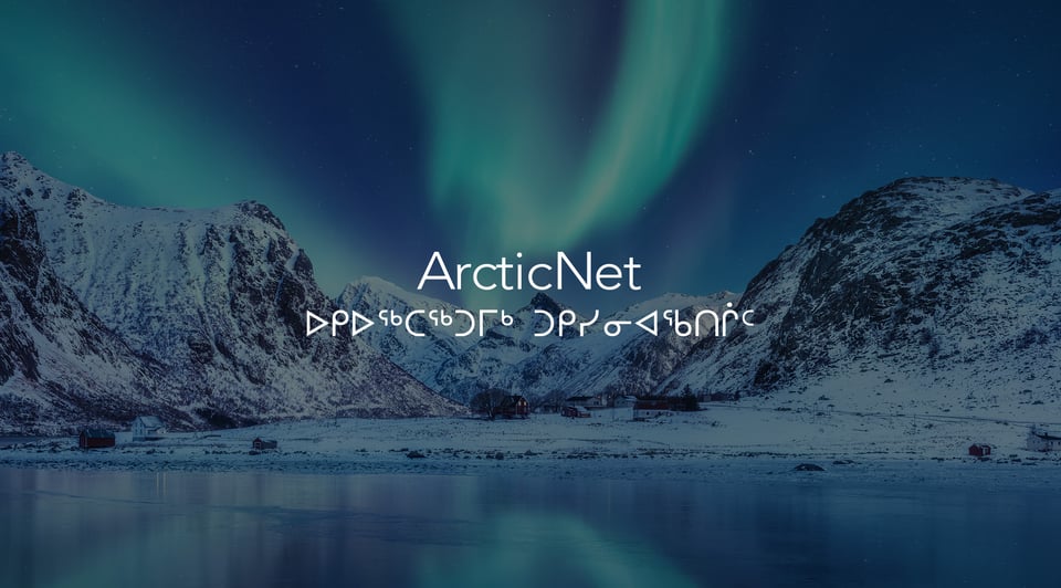 Concevoir une plateforme numérique de référence pour ArcticNet