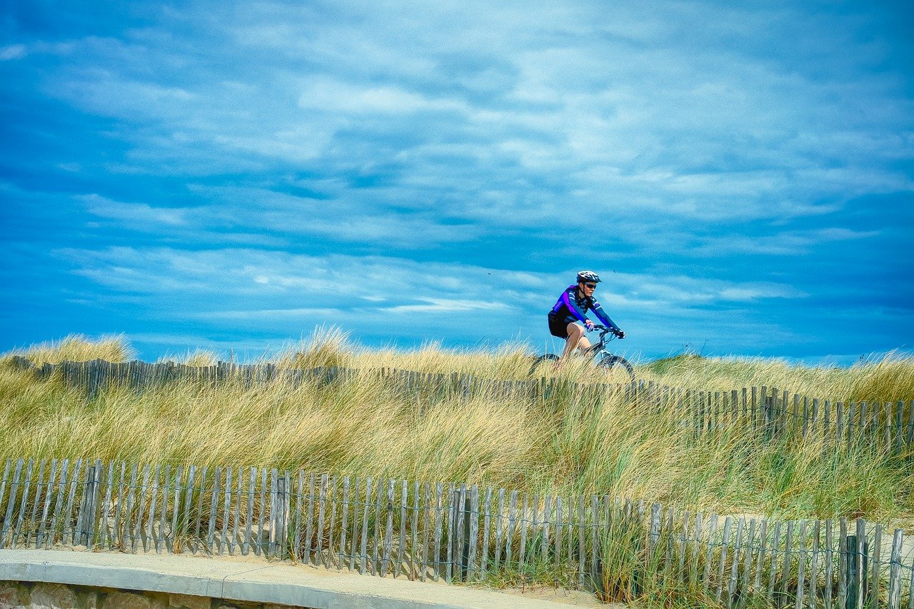 Things To Consider When Buying An Electric Bike (e-bike)