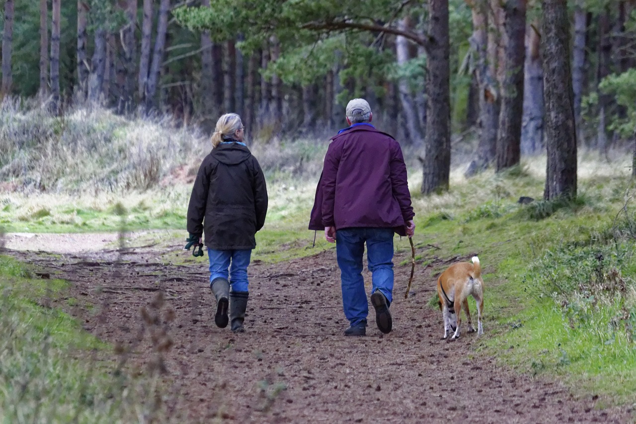 Walking Is Good But A Fast Walk Is Better