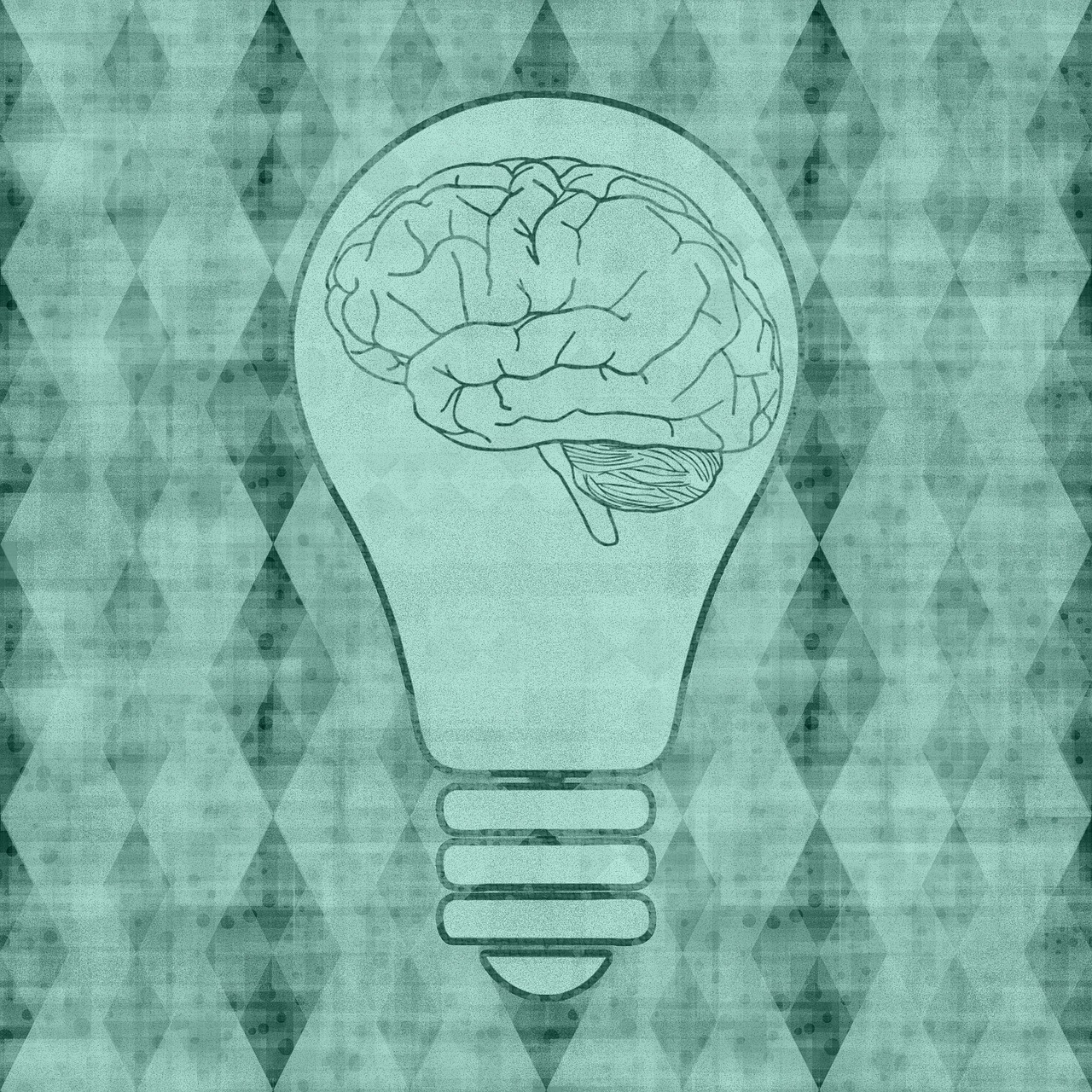Neuroplasticity And The Aging Brain