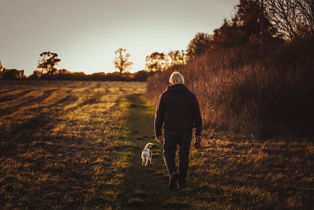 Embracing the Renaissance of Retirement