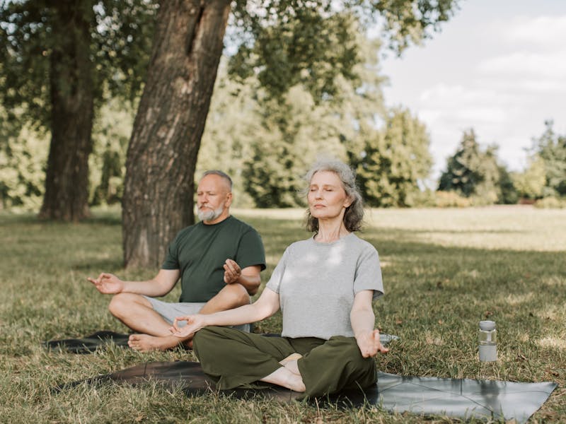 Four Ways to Extend Our Longevity and Healthspan