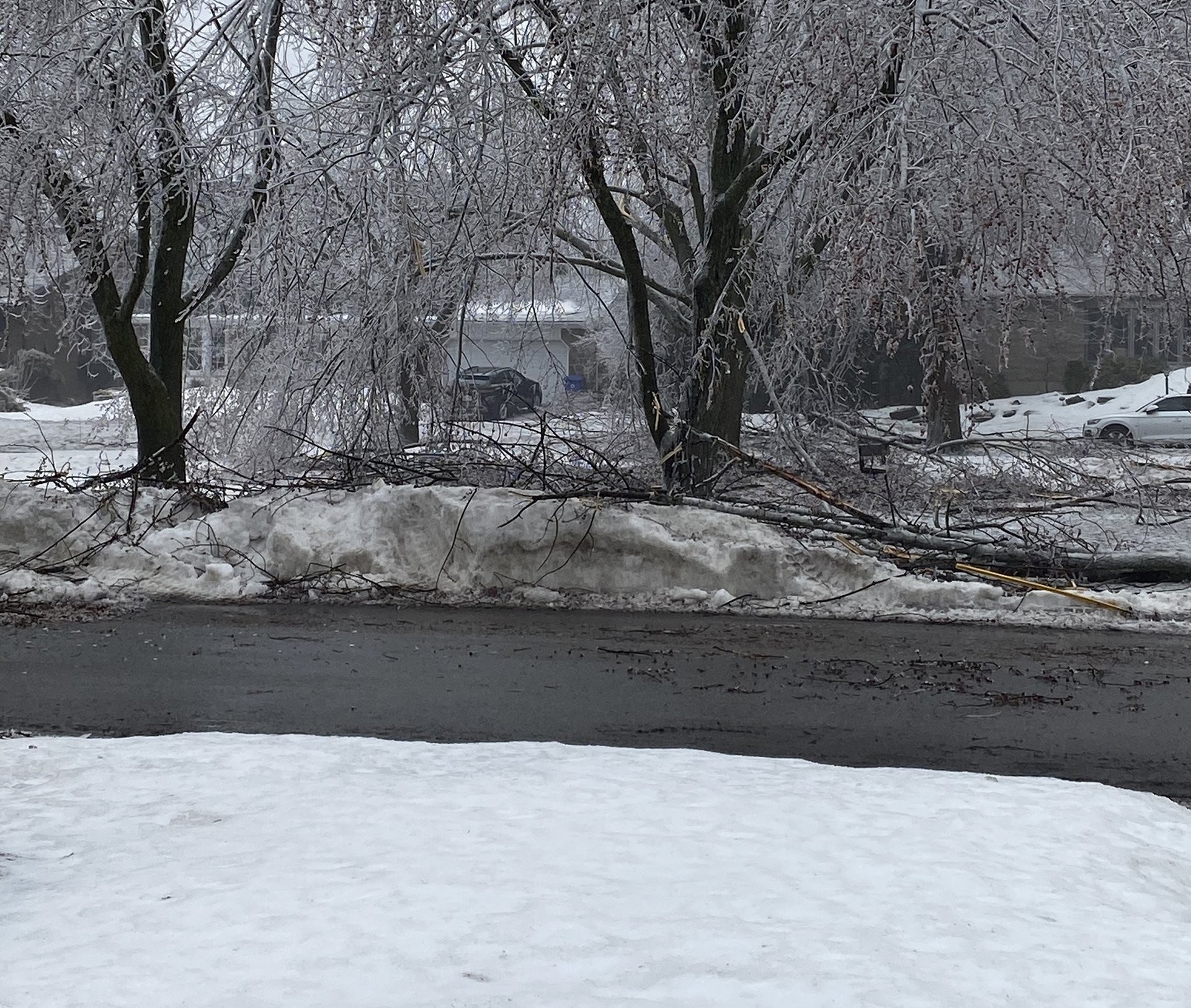 Learning and Living Through an Ice Storm and Retirement