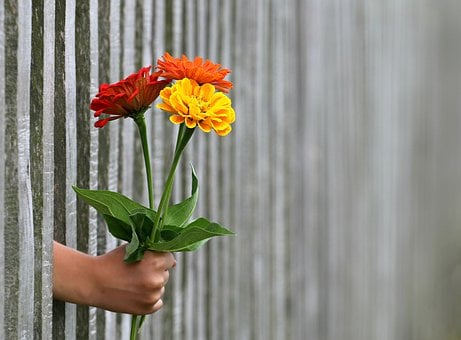 Giving Can Make Us Happier - But How We Give Matters