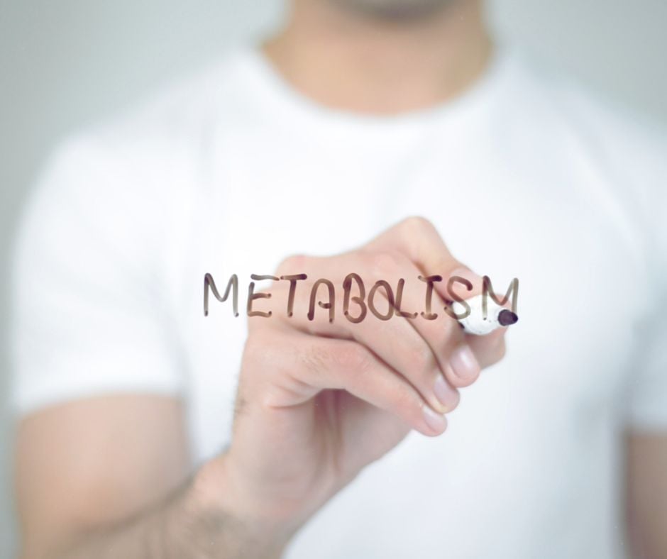 My AI Wellness Experiment: Day 25 - Understanding Metabolism and Working with Your Body