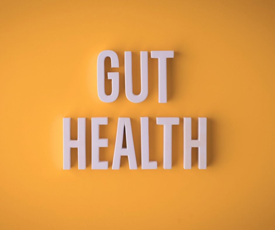 My AI Wellness Experiment: Day 9 - Understanding How Gut Health Plays a Role