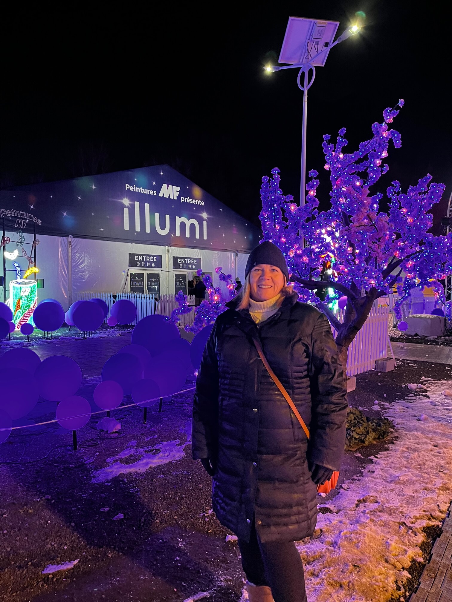 60 Before 60 Project: #4 - Enjoy the Festive Lights