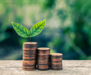 Financement et Gestion Financière : les erreurs courantes, comment les éviter ?