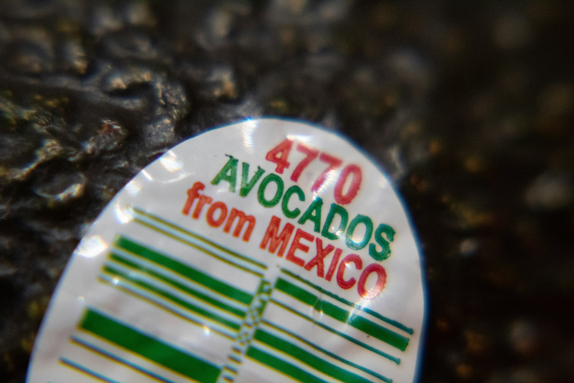 Le cas des avocats du Mexique au Canada