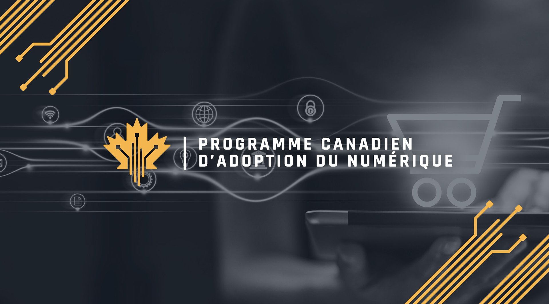 Supporting the Digital Transformation of Quebec Businesses Through the CDAP Initiative