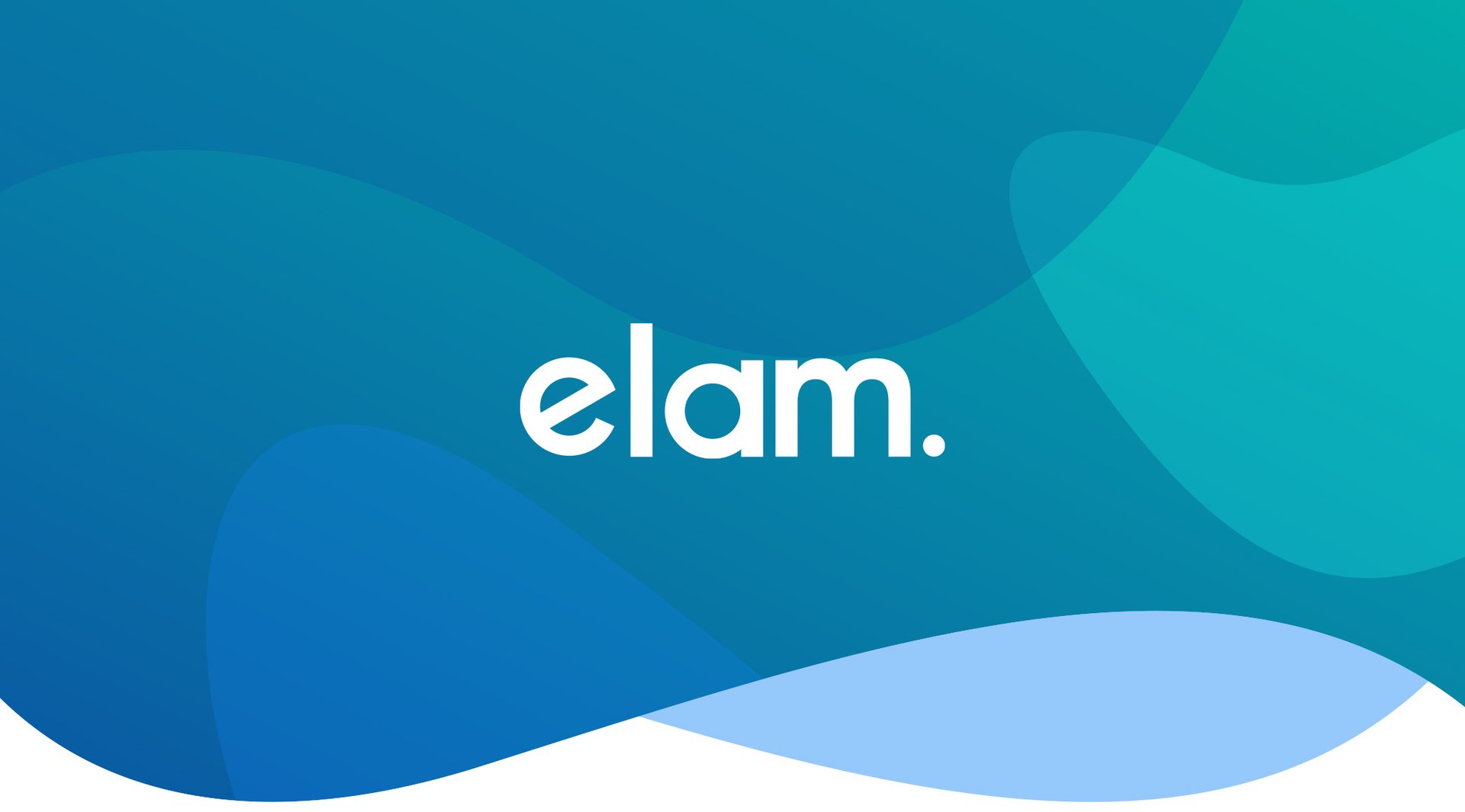 Transform ELAM’s Digital Presence to Generate B2B Opportunities