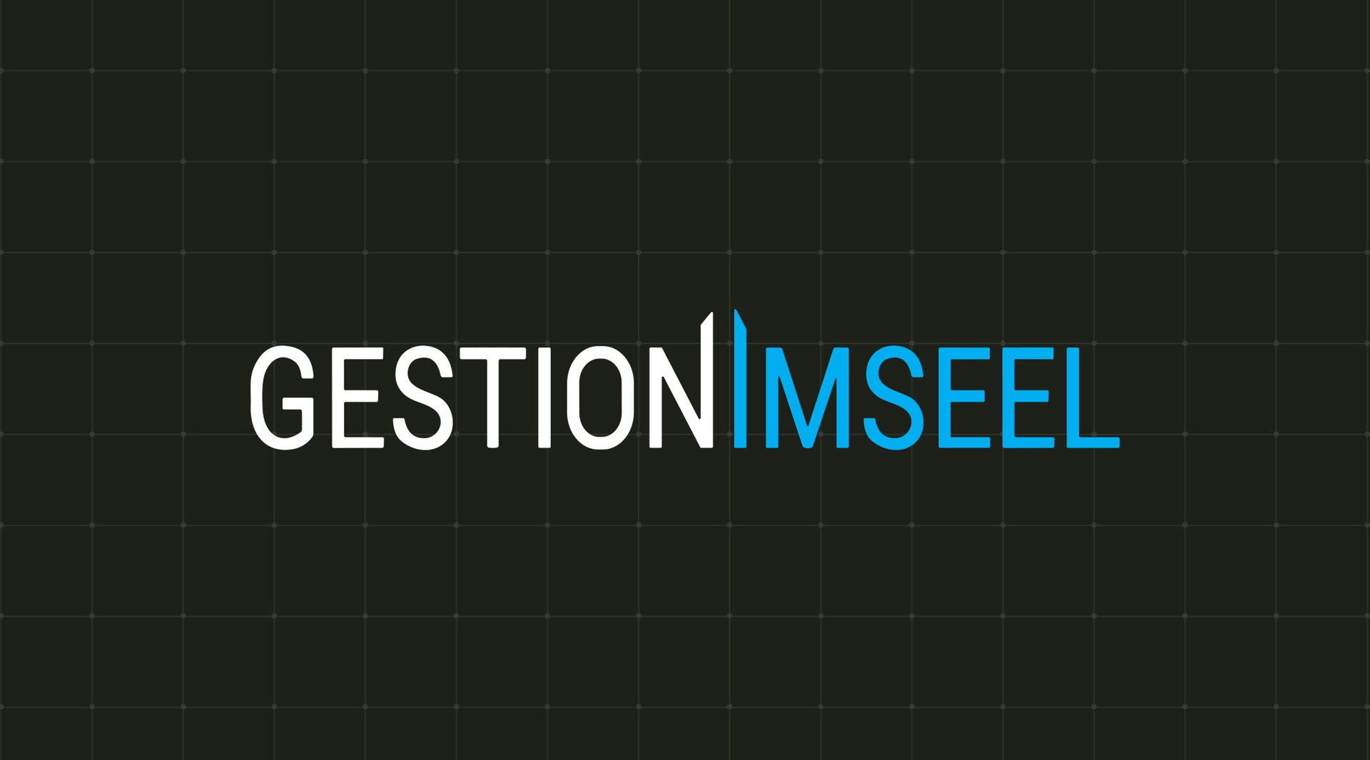 Turnkey Creation of InSeel Management's Brand and Digital Presence